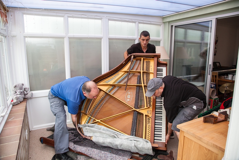 Removals in {Location}